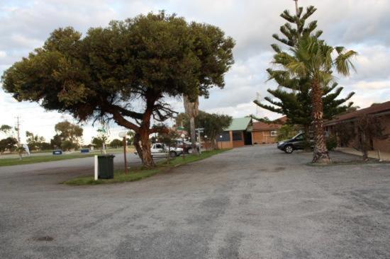 Cervantes Pinnacles Motel Eksteriør billede